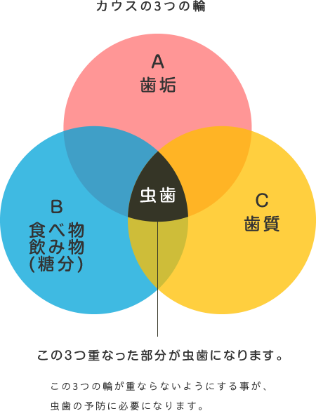 カウスの3つの輪